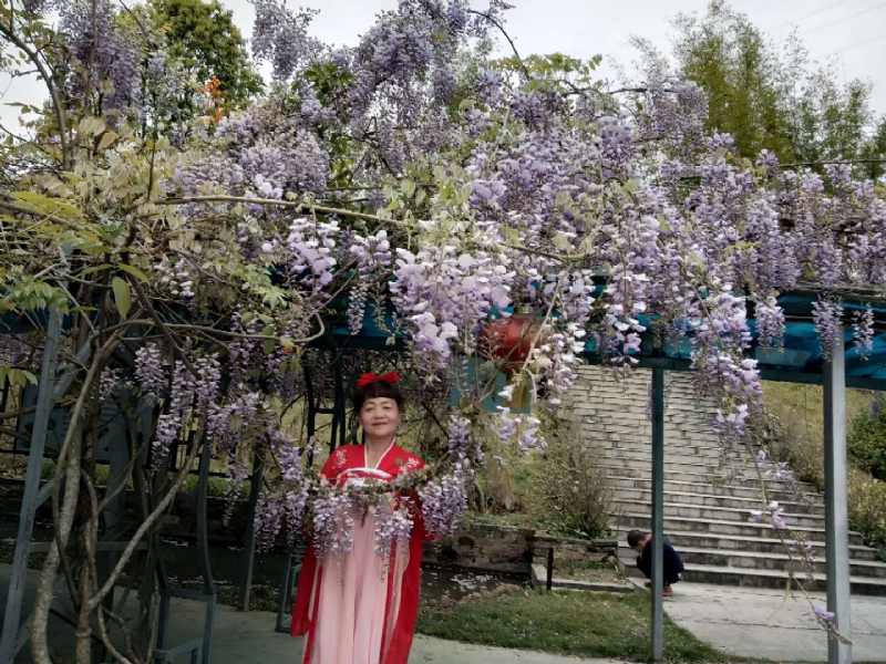 莉莉的第一张照片--清流婚介网